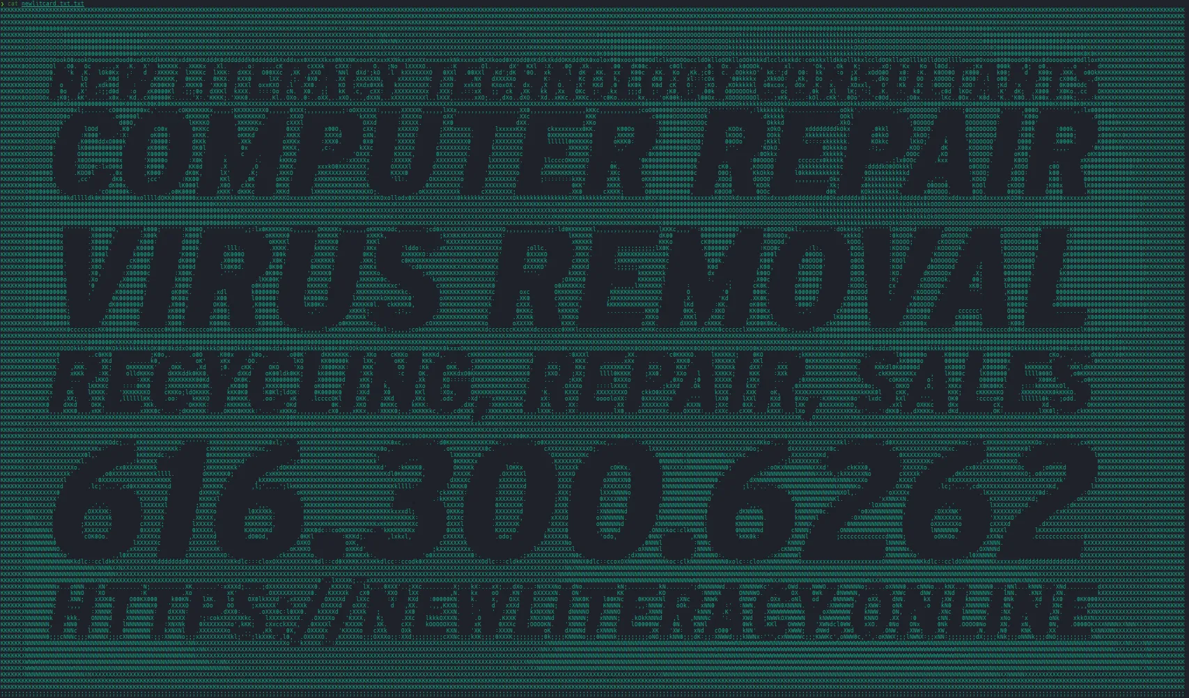 newliteracy business card image passed through letterpress then displayed in the terminal 