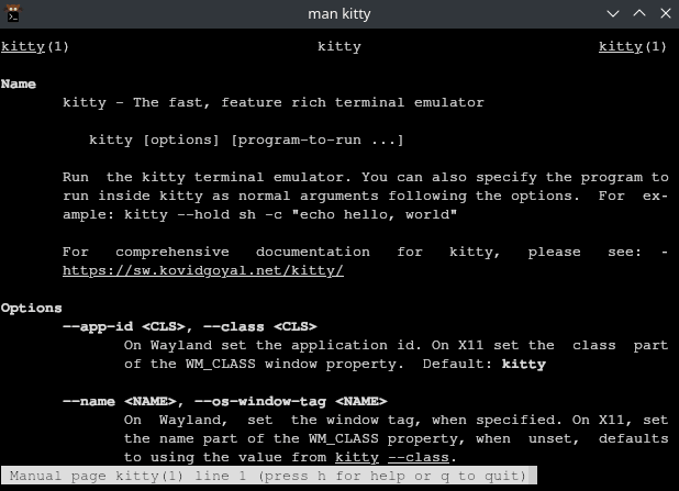 kitty